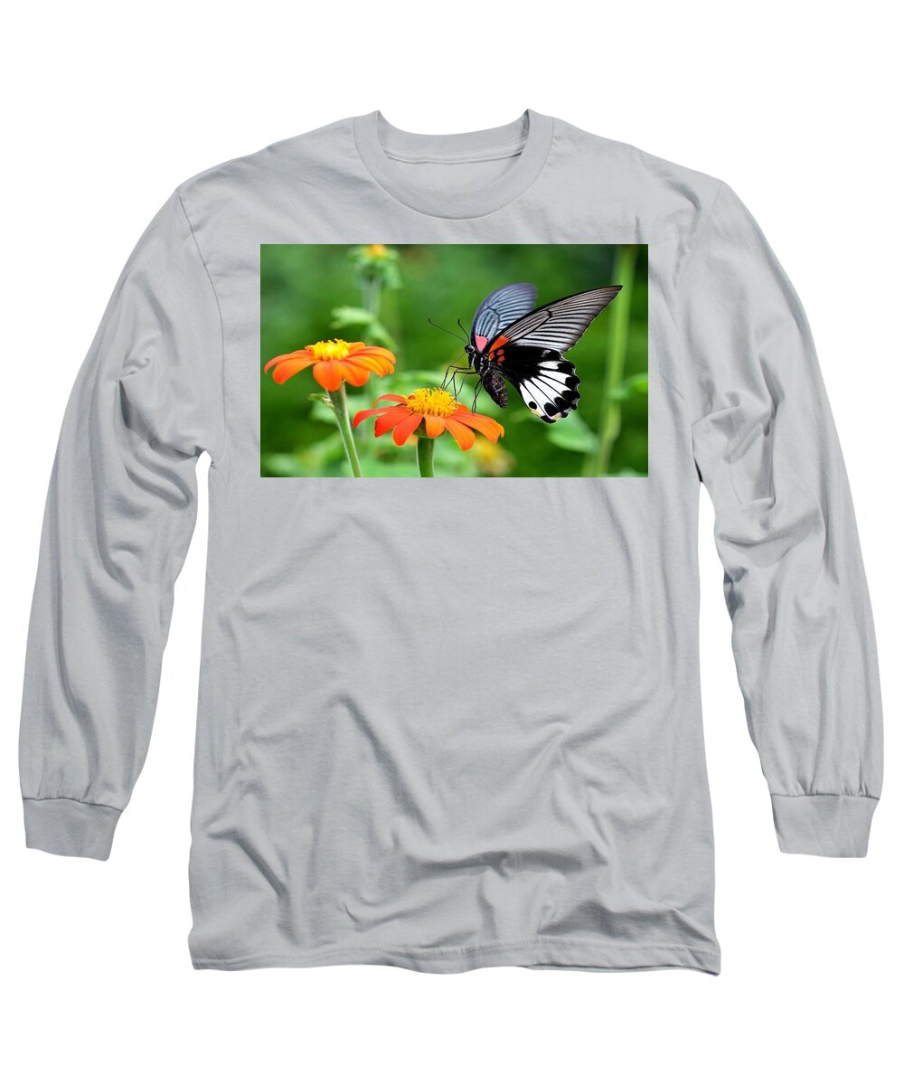 Butterfly Long Sleeve T-Shirt featuring the photograph Butterfly #34 by Jackie Russo