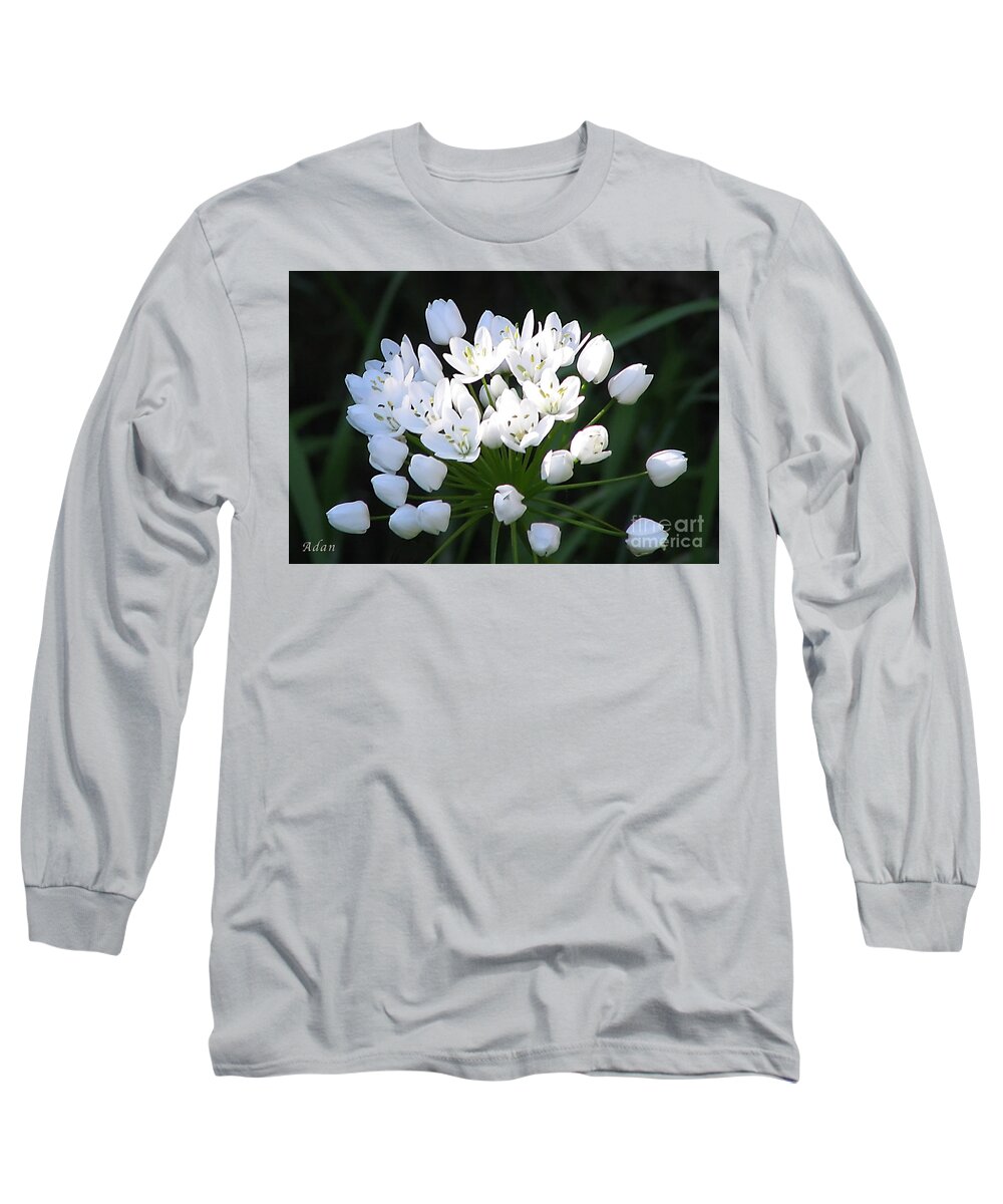 Spring Florals Long Sleeve T-Shirt featuring the photograph A Spray of Wild Onions by Felipe Adan Lerma