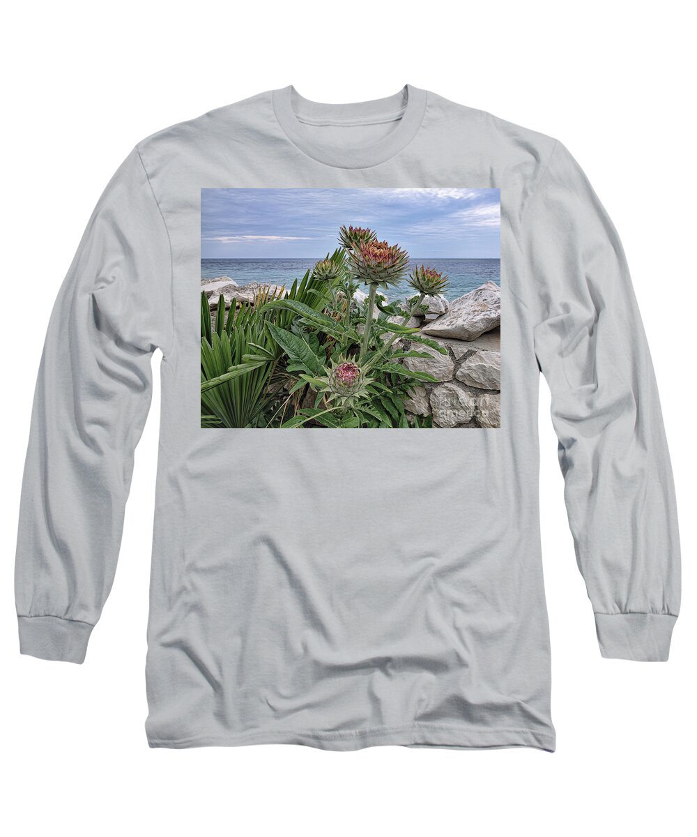 Top Artist Long Sleeve T-Shirt featuring the photograph Adriatic Artichokes by Norman Gabitzsch