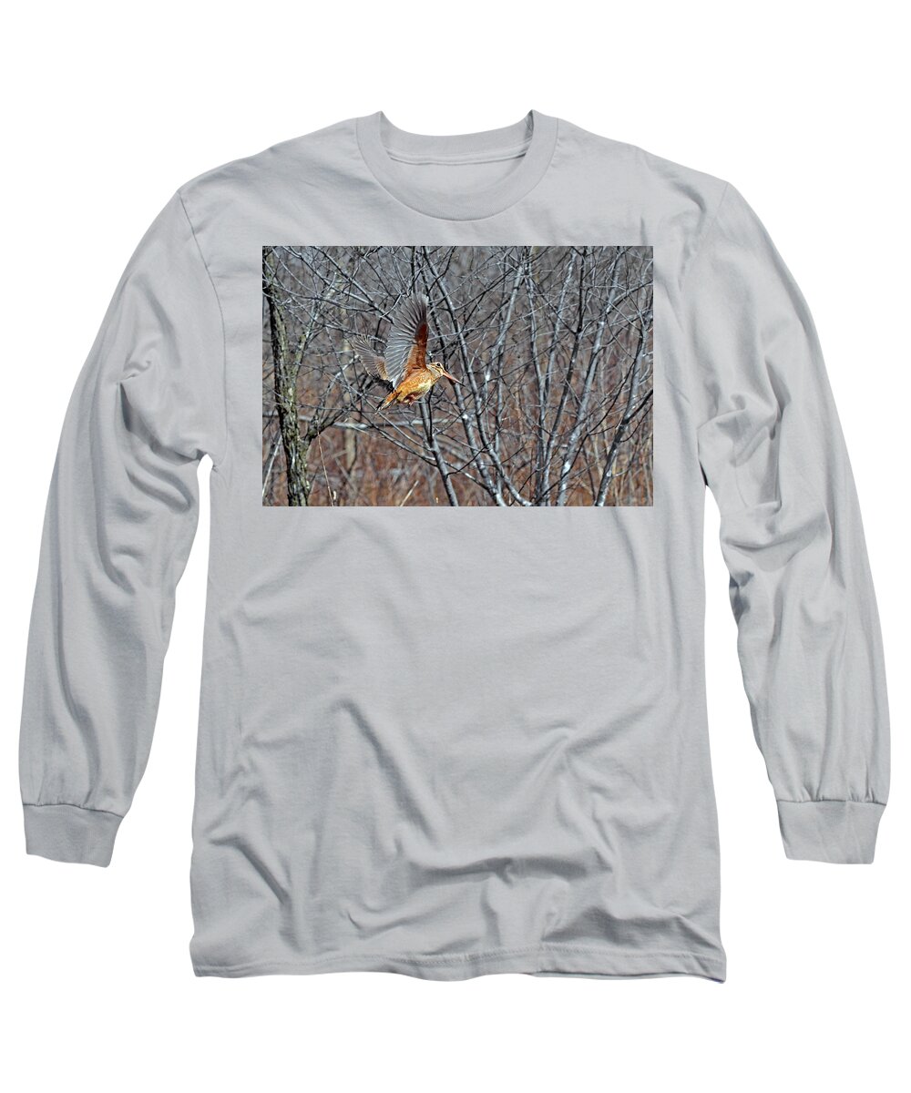 American Woodcock Long Sleeve T-Shirt featuring the photograph American Woodcock in takeoff flight by Asbed Iskedjian