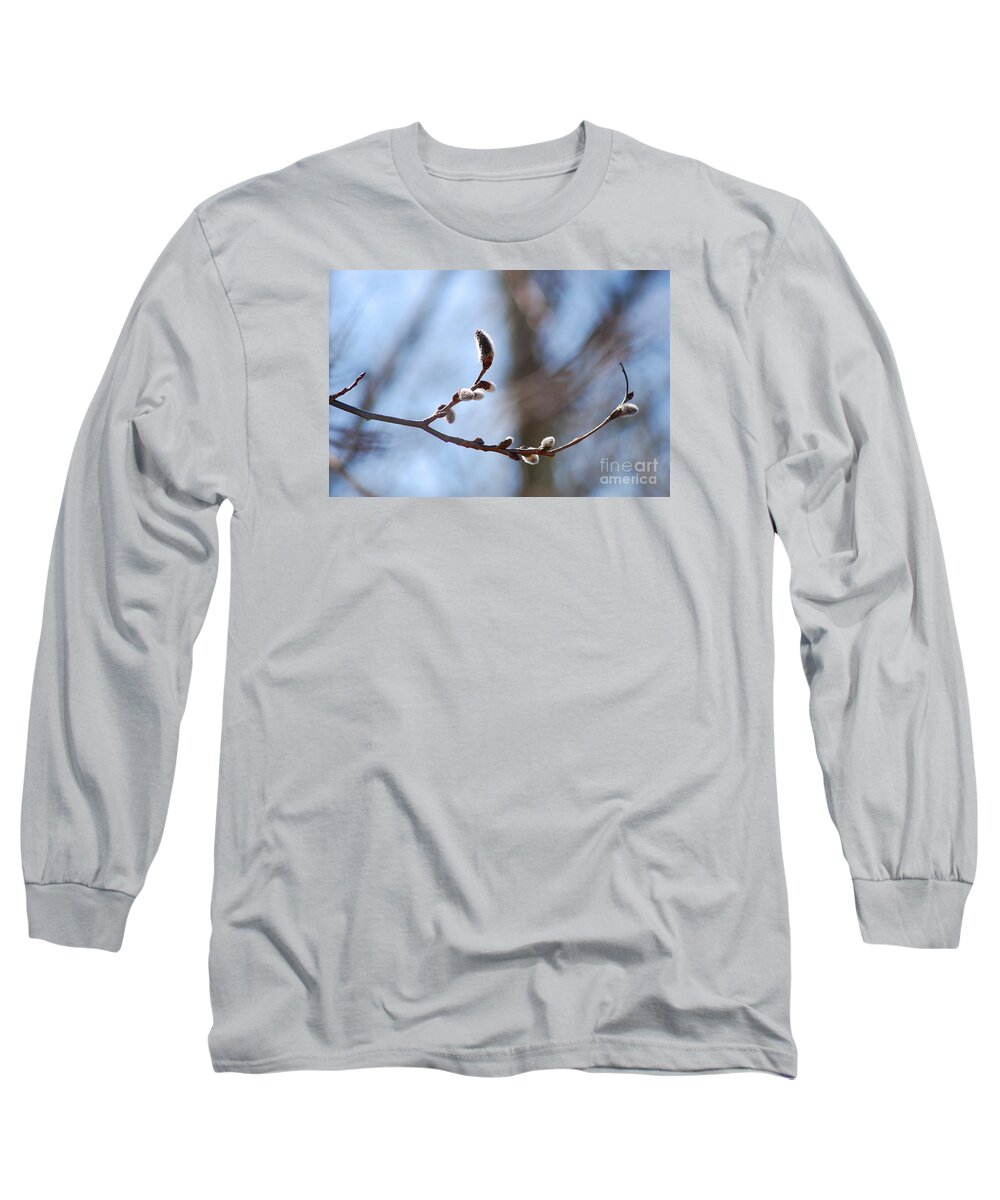 Catkins Long Sleeve T-Shirt featuring the photograph Aspen Catkins 20120314_33a by Tina Hopkins