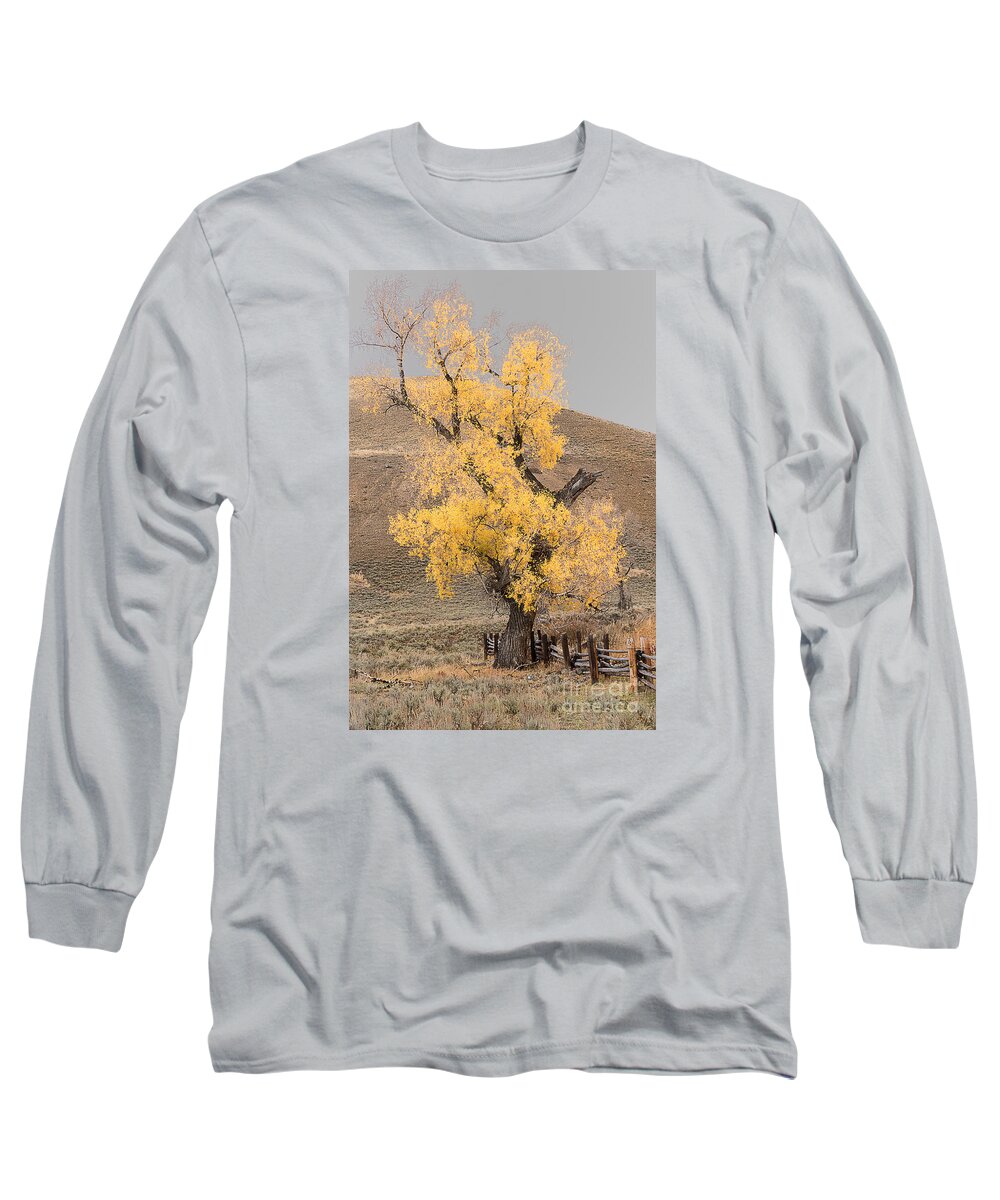Yellowstone Long Sleeve T-Shirt featuring the photograph Autumn in Yellowstone by Dennis Hammer