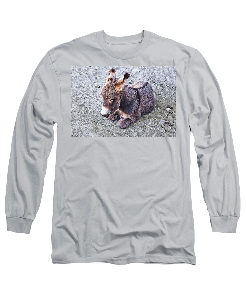 Baby Burro Long Sleeve T-Shirt featuring the photograph Baby burro by Tatiana Travelways