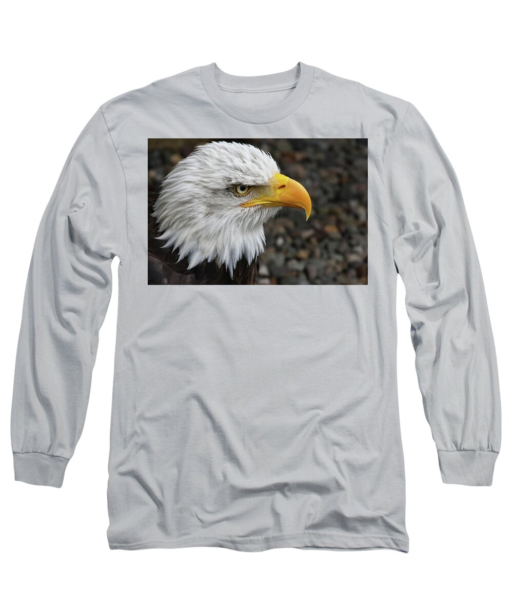 Bald Eagle Long Sleeve T-Shirt featuring the photograph Bald Eagle by Kuni Photography