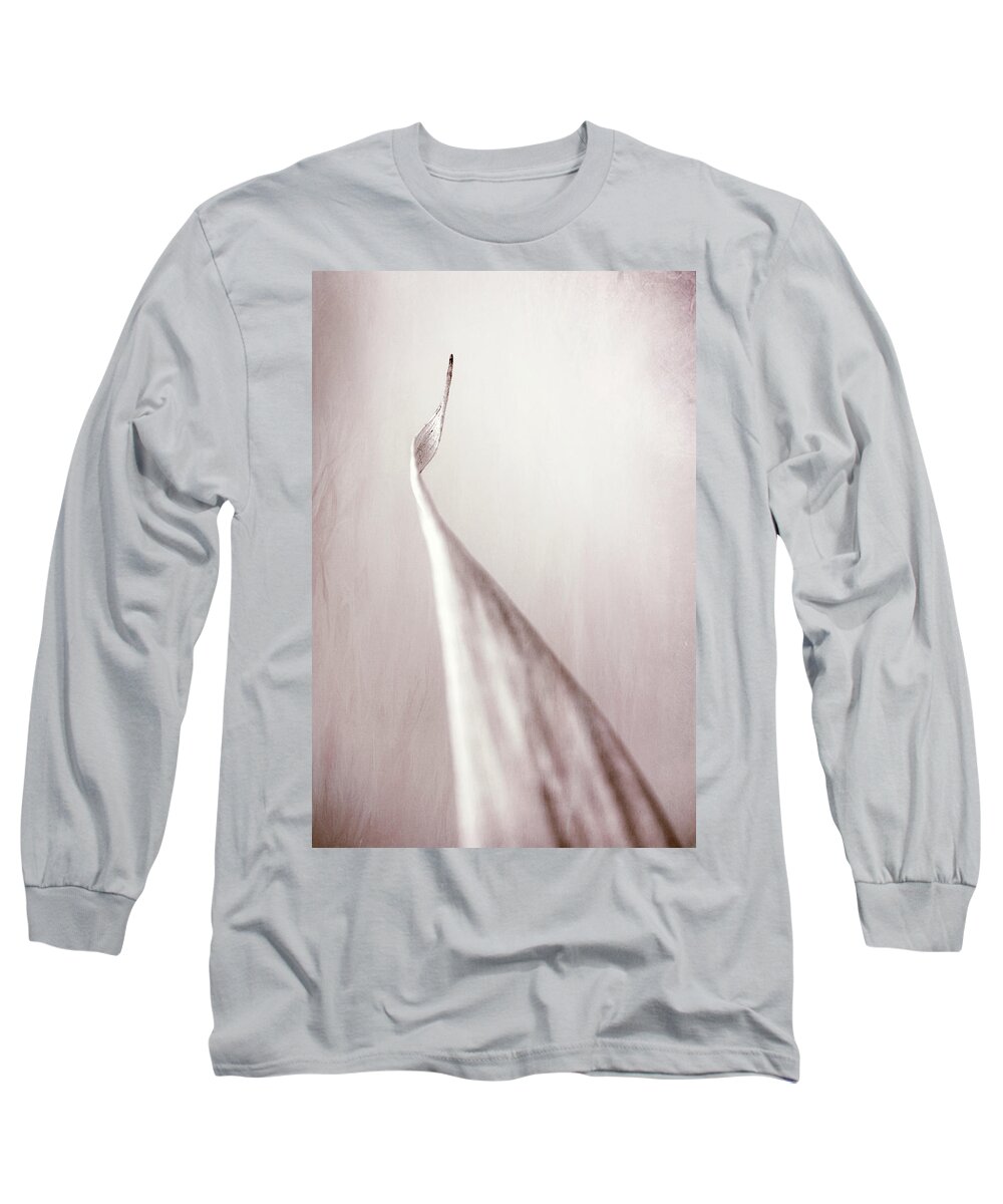 Chinese Long Sleeve T-Shirt featuring the photograph Bamboo Leaf by Robert FERD Frank