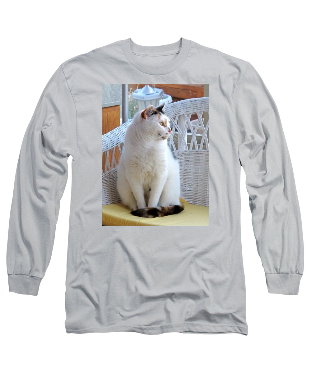 Calico Cat Long Sleeve T-Shirt featuring the photograph Beauty in White by Phyllis Kaltenbach