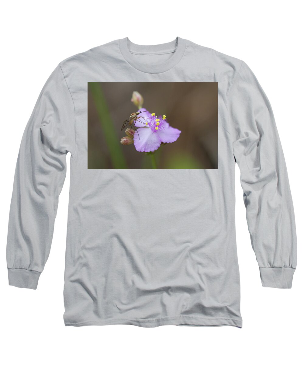 Poecilognathus Bee Fly Long Sleeve T-Shirt featuring the photograph Bee Fly on Roseling by Paul Rebmann
