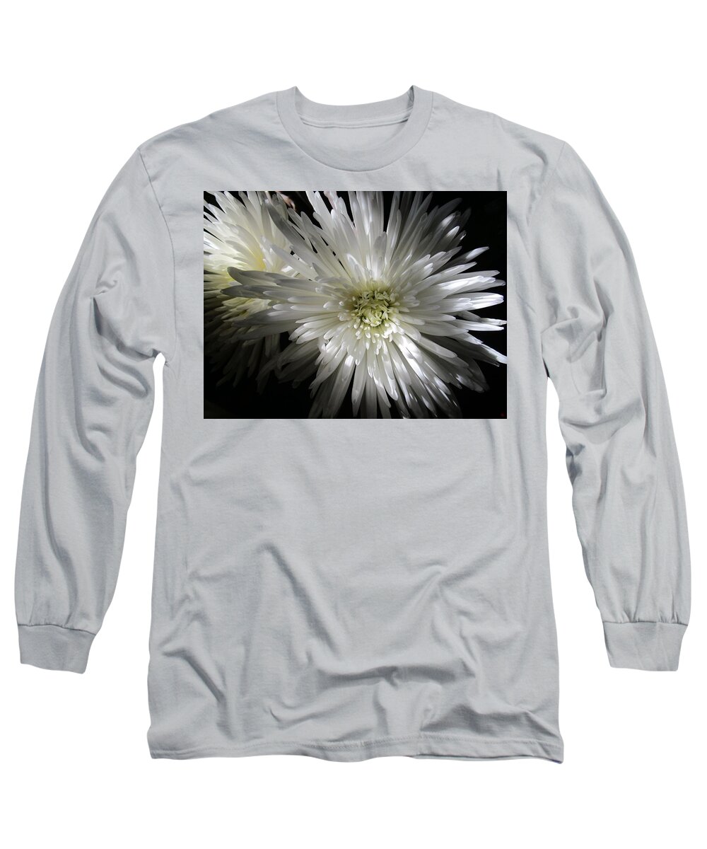 Chrysanthemum Long Sleeve T-Shirt featuring the photograph Black and White by Rosita Larsson