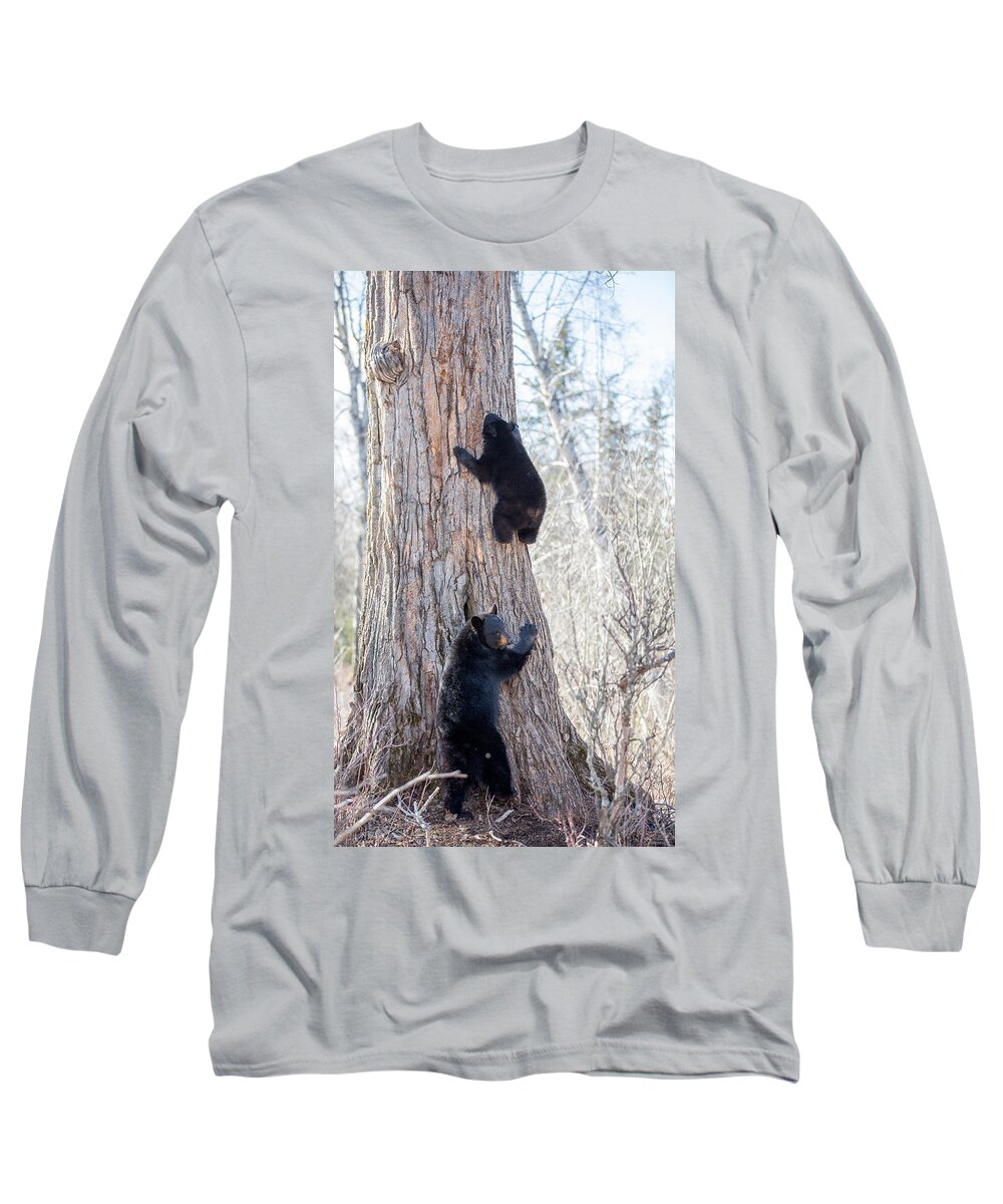 Sam Amato Photography Long Sleeve T-Shirt featuring the photograph Black Bear Sow and Cub by Sam Amato