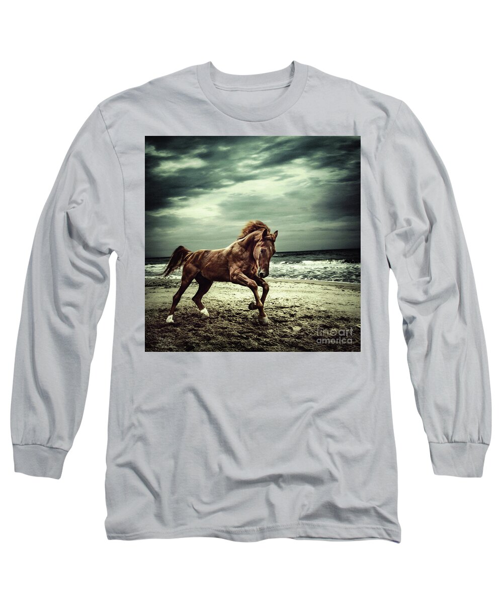 Horse Long Sleeve T-Shirt featuring the photograph Brown horse galloping on the coastline by Dimitar Hristov