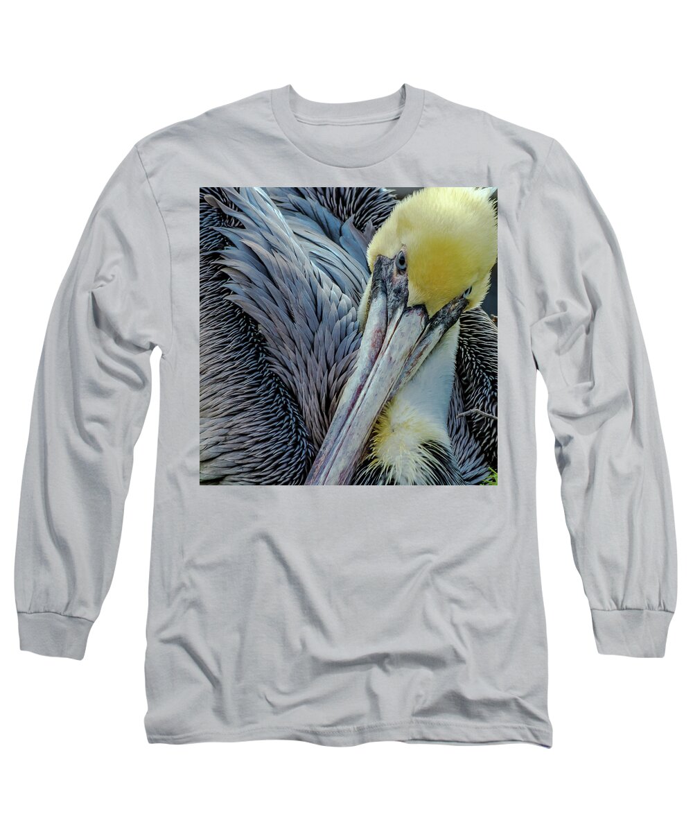 Beak Long Sleeve T-Shirt featuring the photograph Brown Pelican by Bill Gallagher
