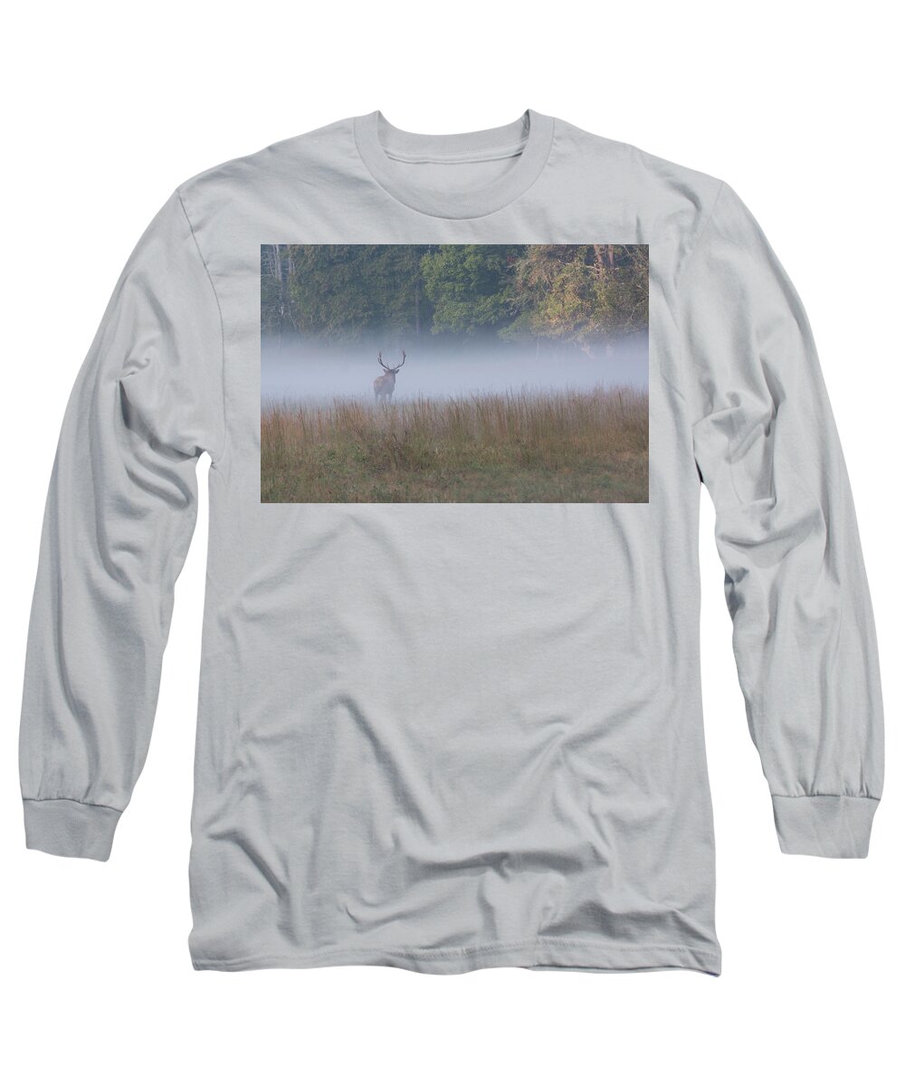 Elk Long Sleeve T-Shirt featuring the photograph Bull Elk Disappearing in Fog - September 30 2016 by D K Wall