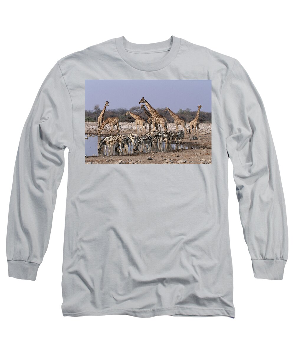 Mp Long Sleeve T-Shirt featuring the photograph Burchells Zebra Equus Burchellii by Michael & Patricia Fogden
