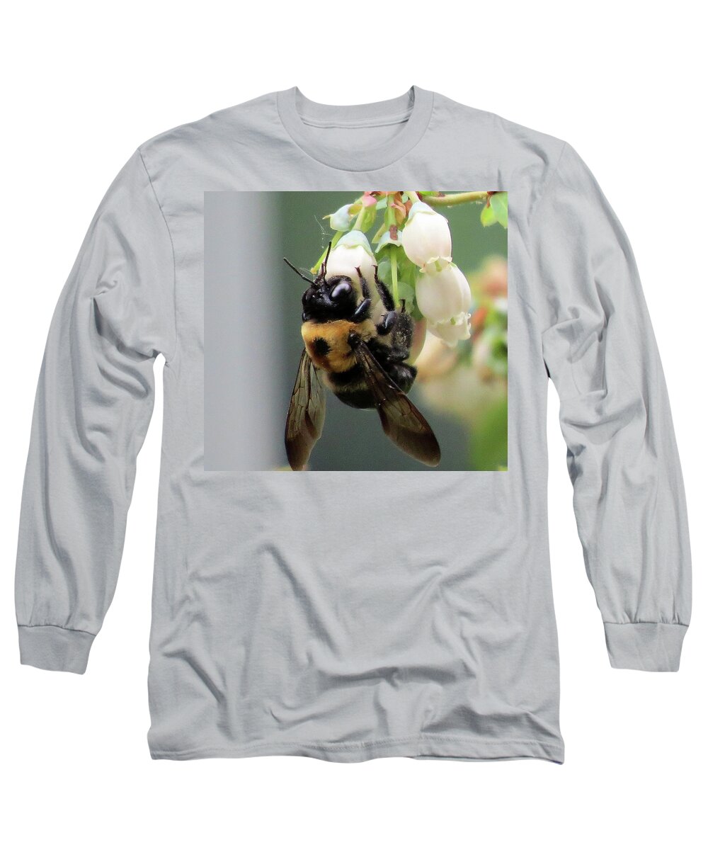 Bees Long Sleeve T-Shirt featuring the photograph Busy Bee on Blueberry Blossom by Linda Stern
