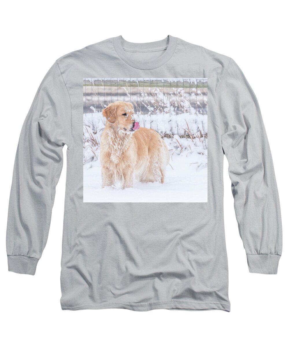 Golden Retriever Long Sleeve T-Shirt featuring the photograph Catching Snowflakes by Jennifer Grossnickle