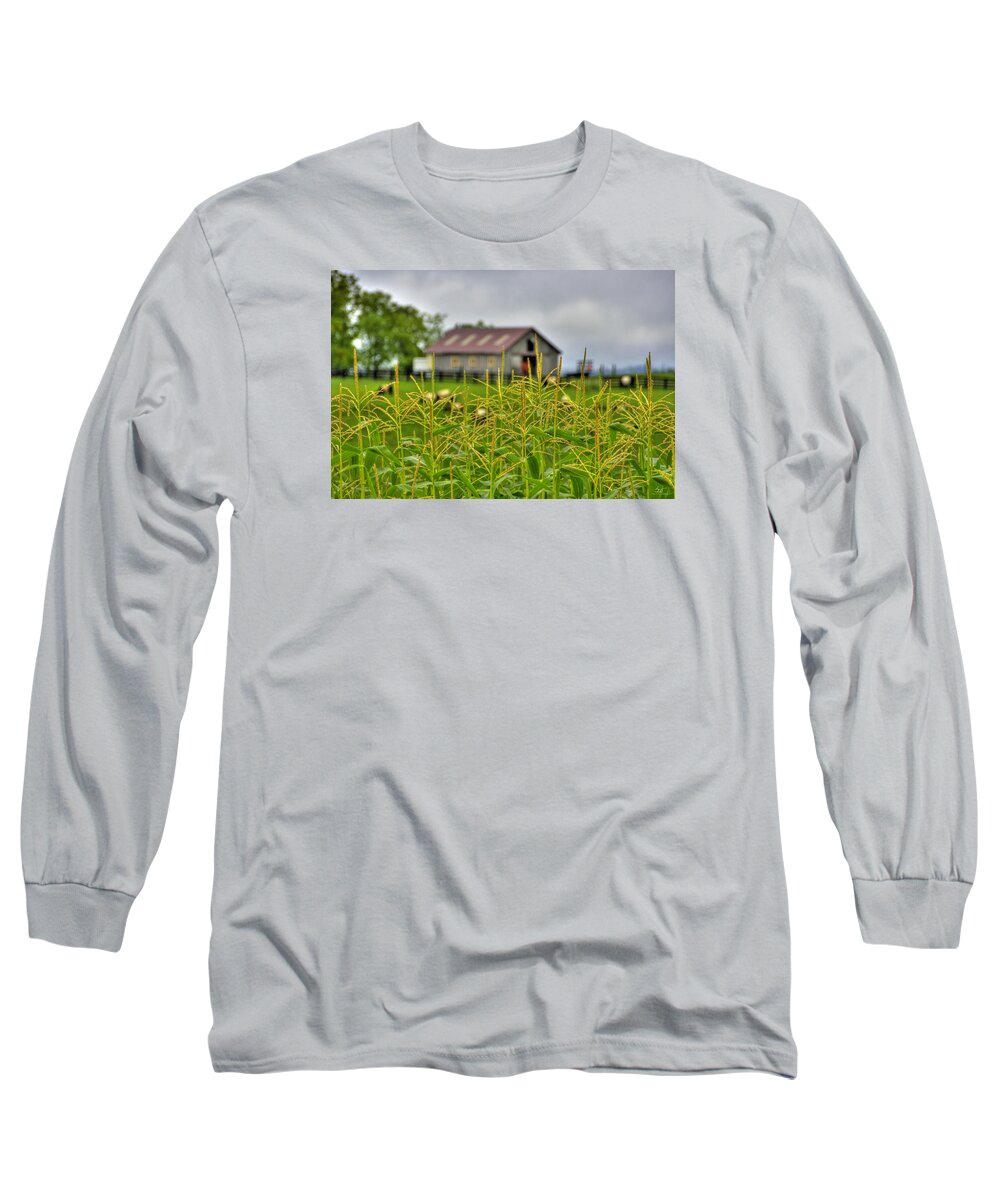 Landscape Long Sleeve T-Shirt featuring the photograph Corn Tops by Sam Davis Johnson