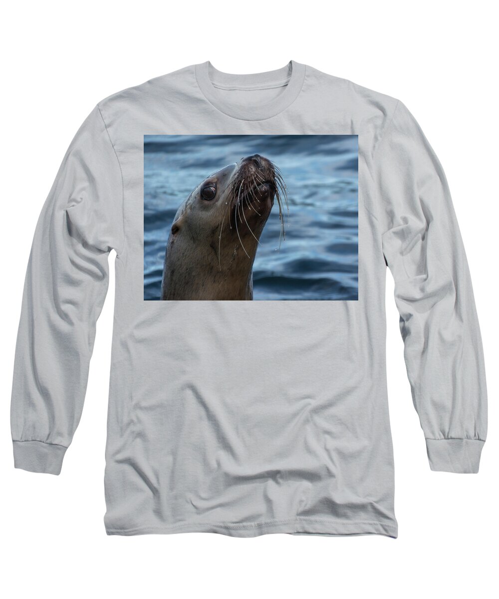 Sea Lion Long Sleeve T-Shirt featuring the photograph Curious Lion by David Kirby