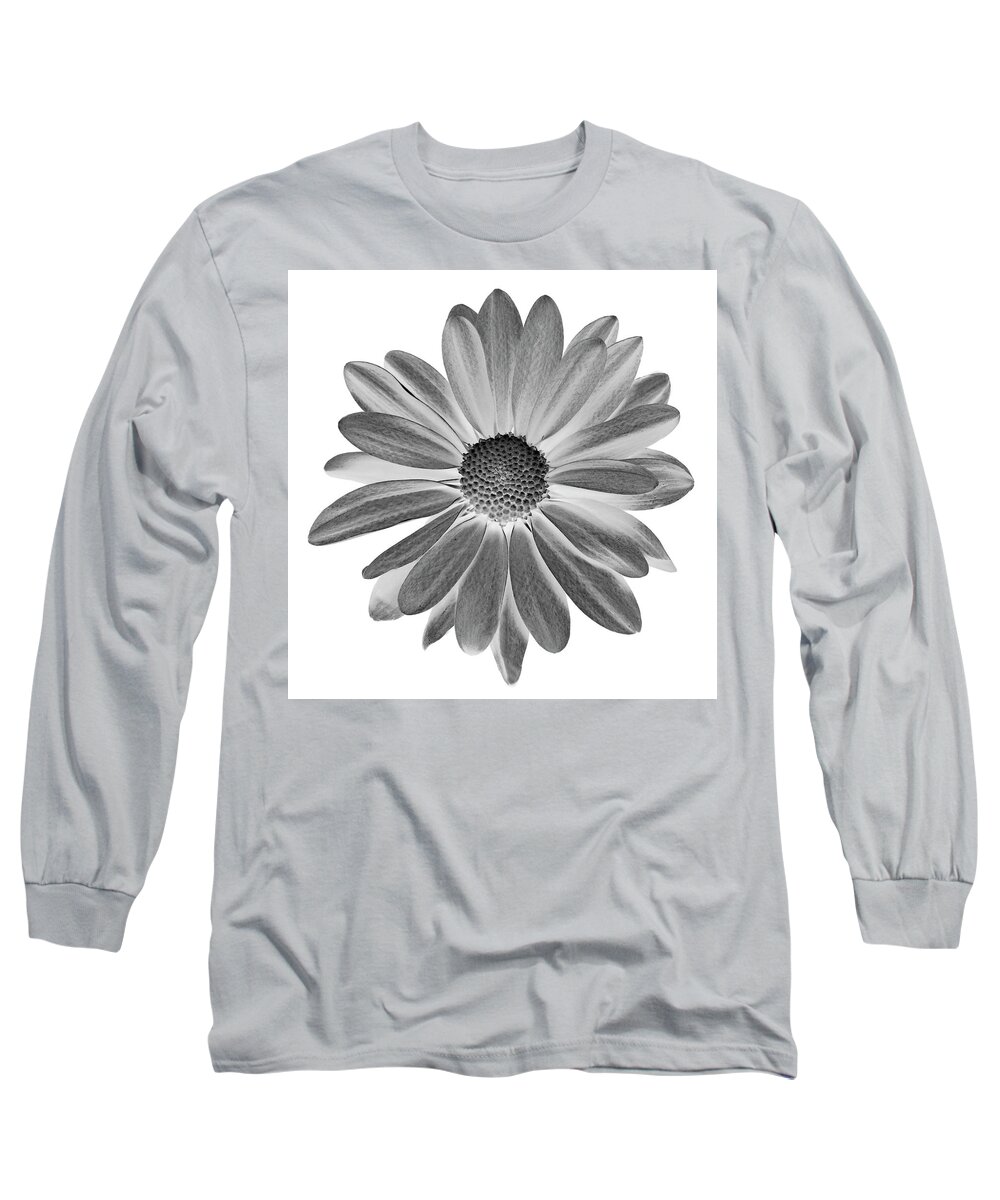 Flowers Long Sleeve T-Shirt featuring the photograph Daisy II Black and White by Lily Malor