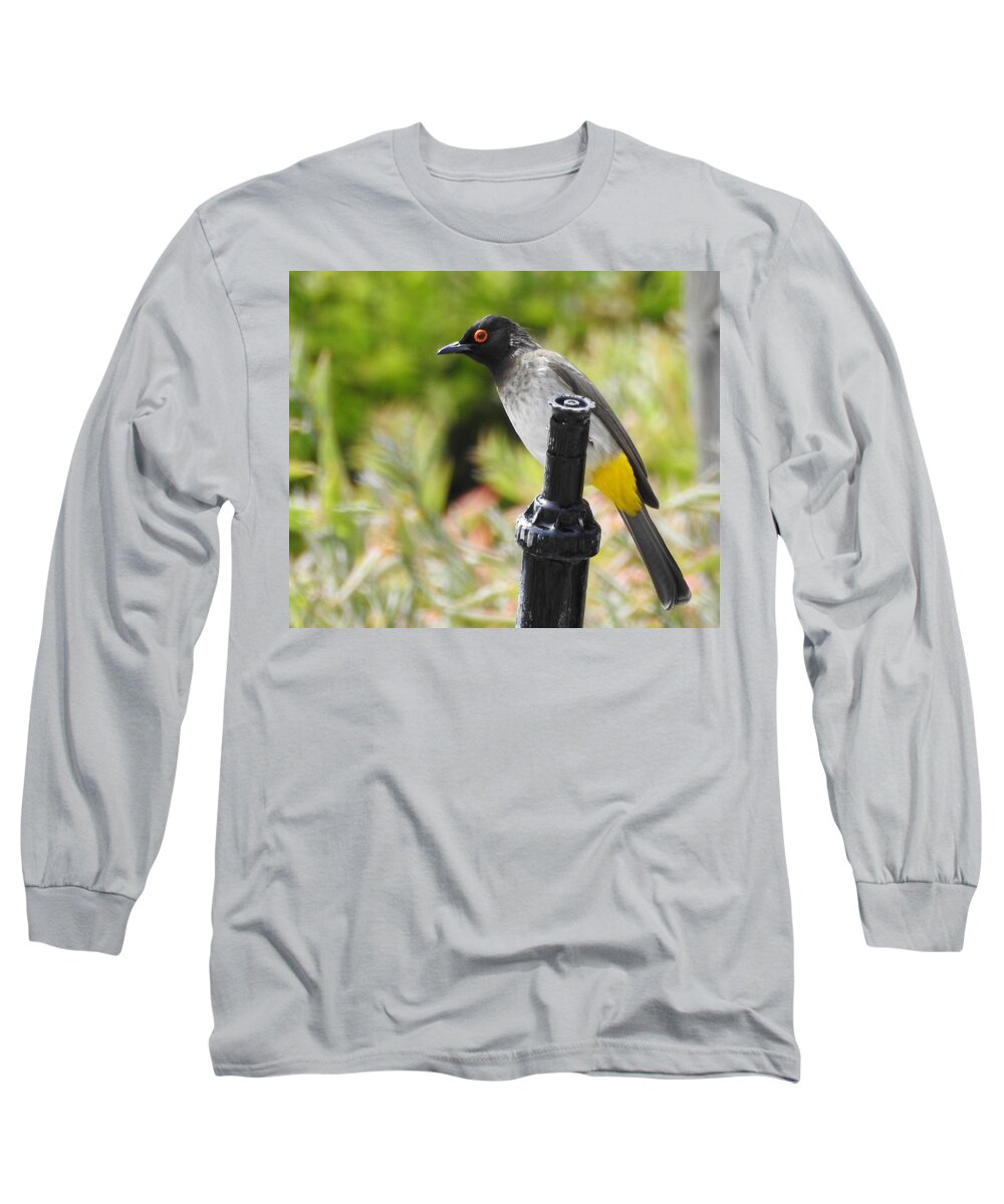 African Bird Long Sleeve T-Shirt featuring the photograph Dark-capped Bulbul by Betty-Anne McDonald