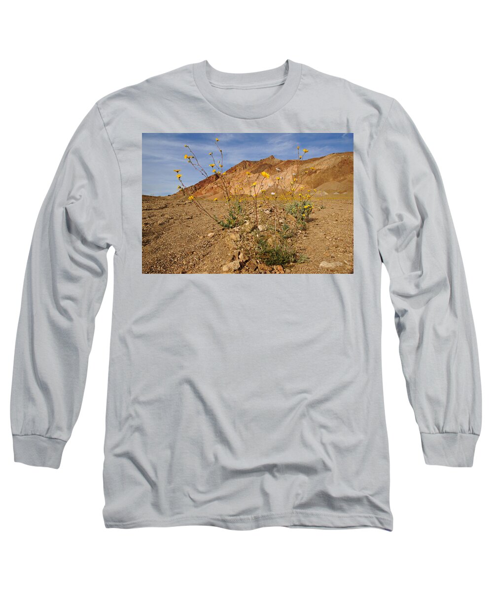 Superbloom 2016 Long Sleeve T-Shirt featuring the photograph Death Valley Superbloom 202 by Daniel Woodrum