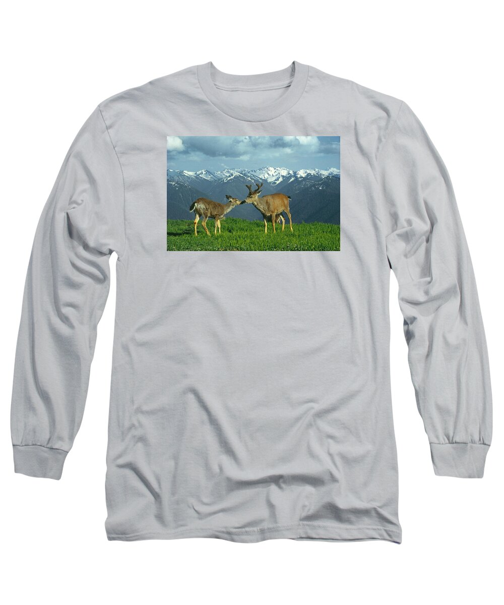 Black Tailed Deer Long Sleeve T-Shirt featuring the photograph MA-181-Deer in Love by Ed Cooper Photography