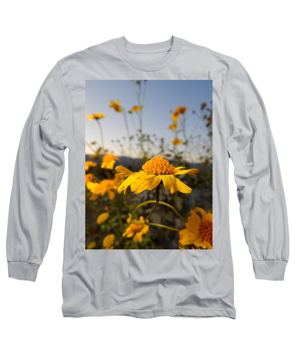Photography Long Sleeve T-Shirt featuring the photograph Desert Blooms by Chris Tarpening