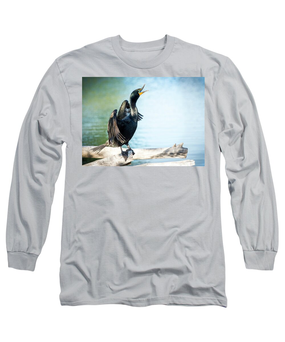 Cormorants Long Sleeve T-Shirt featuring the photograph Double-Crested Cormorant by Judi Dressler