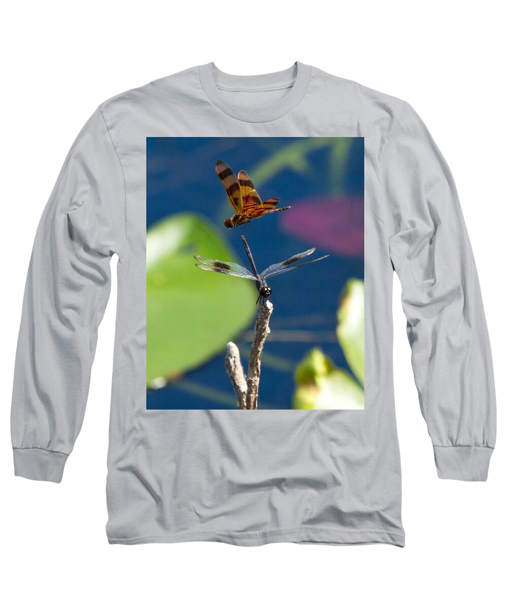 Dragon Fly Long Sleeve T-Shirt featuring the photograph Dragon Fly 195 by Michael Fryd