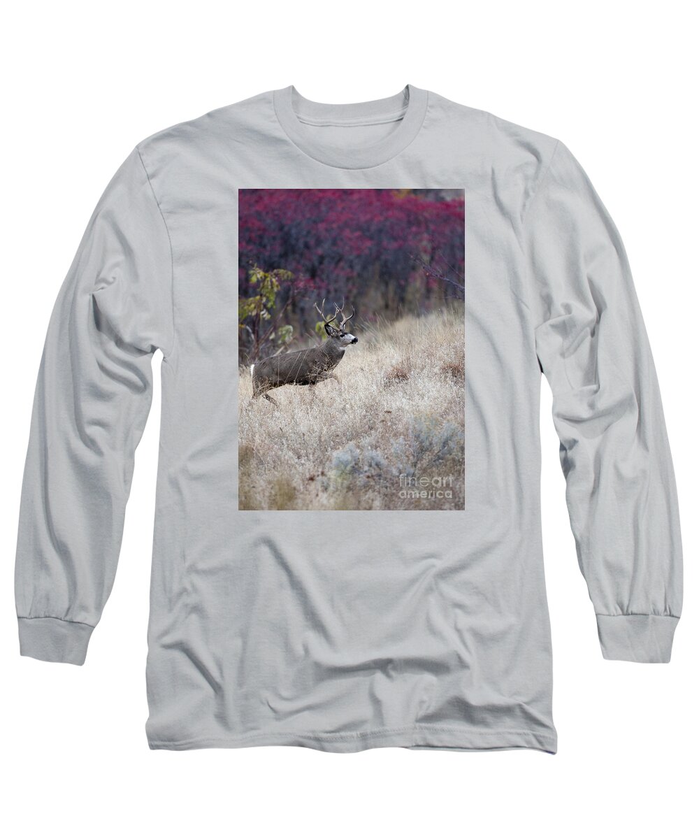 Deer Long Sleeve T-Shirt featuring the photograph Fall Travel by Douglas Kikendall
