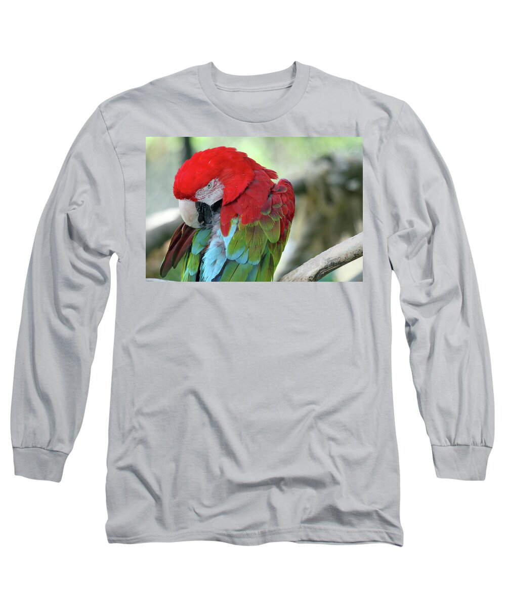 Parrot Long Sleeve T-Shirt featuring the photograph Feathers by Jackson Pearson