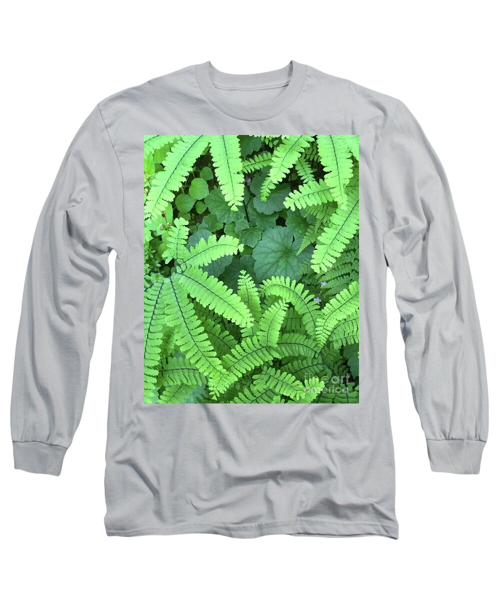 Fern Long Sleeve T-Shirt featuring the photograph Ferns and fauna by Paula Joy Welter