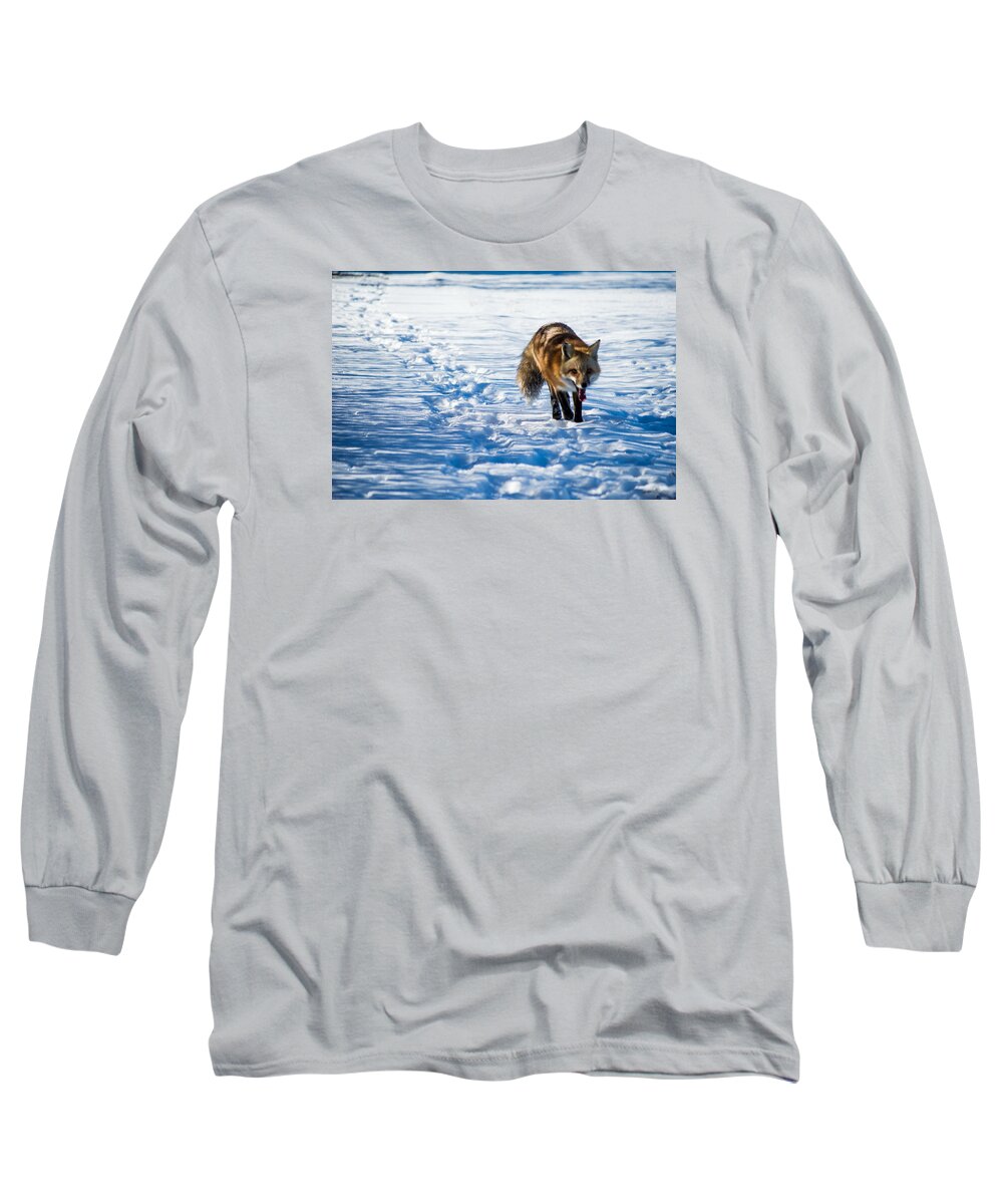 Fox Long Sleeve T-Shirt featuring the photograph Fox path by Stephen Holst