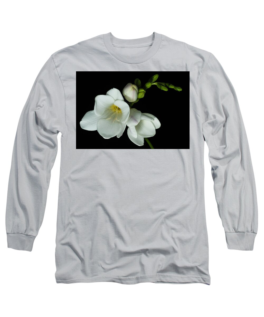 Freesia Long Sleeve T-Shirt featuring the photograph Freesia #1 by John Roach
