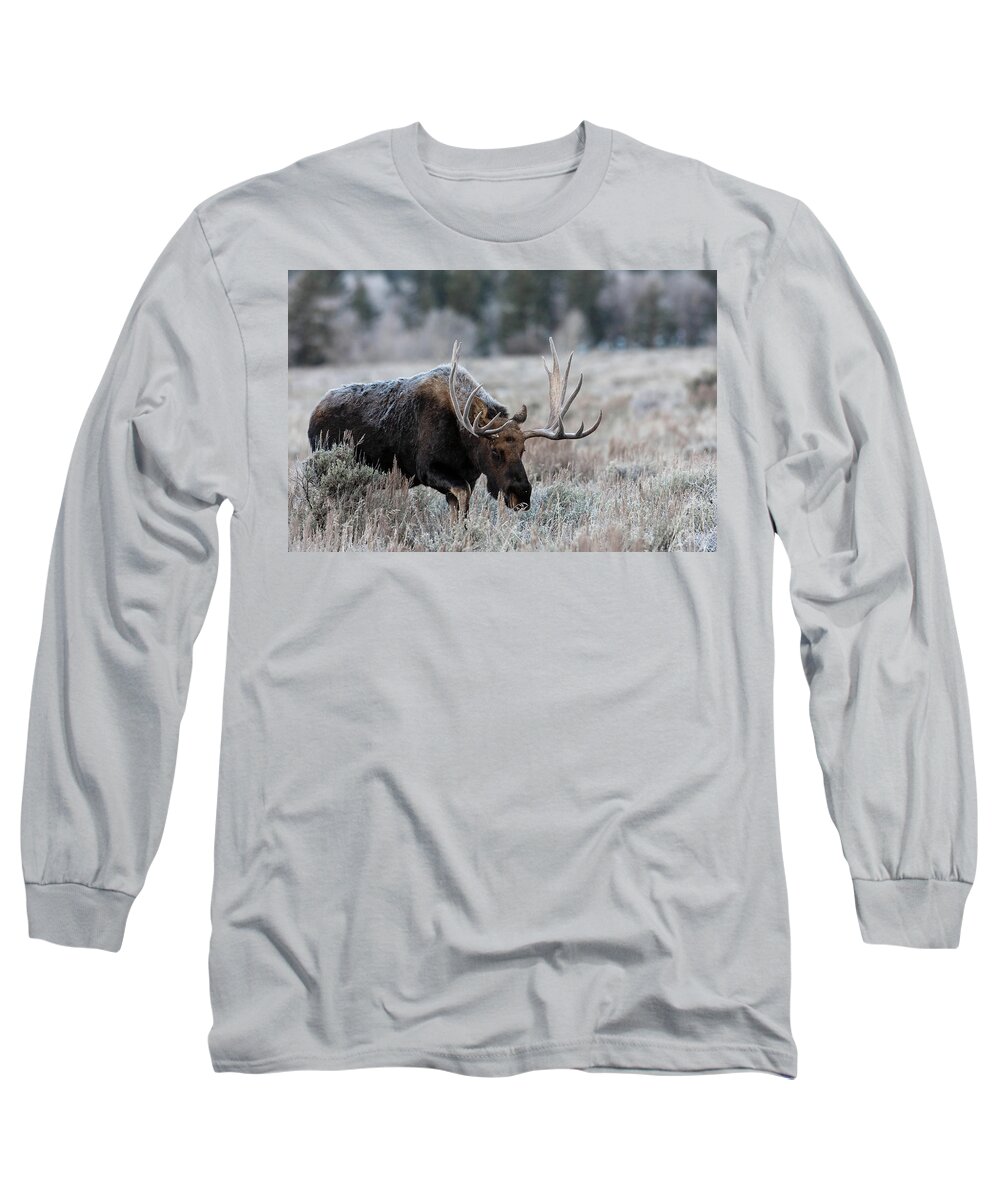 Moose Long Sleeve T-Shirt featuring the photograph Frosty Morning by Ronnie And Frances Howard