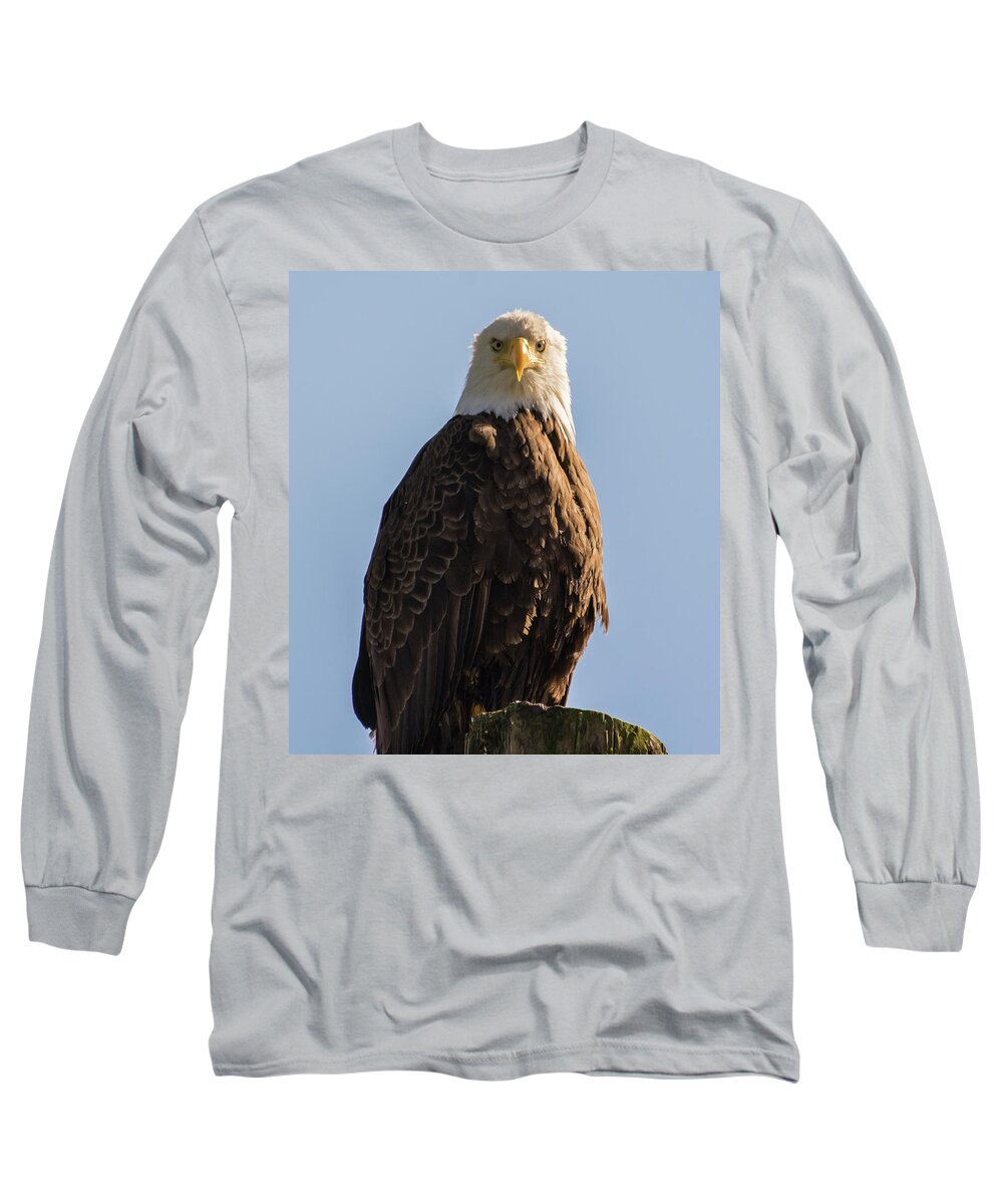 Bald Eagle Long Sleeve T-Shirt featuring the photograph Glory by David Kirby