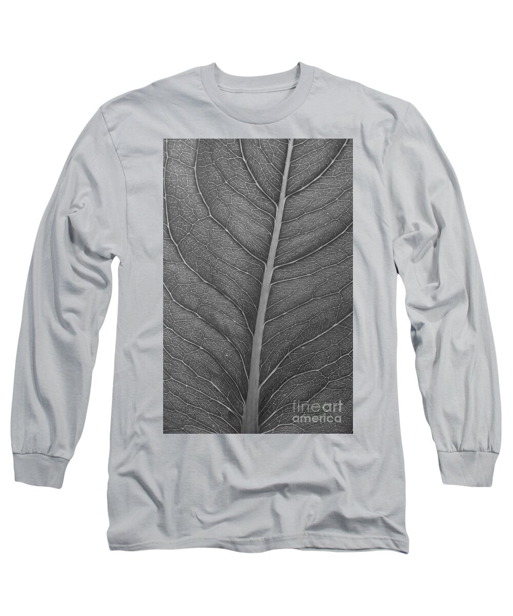 Black And White Leaf Long Sleeve T-Shirt featuring the photograph Graphite Leaf by Anita Adams