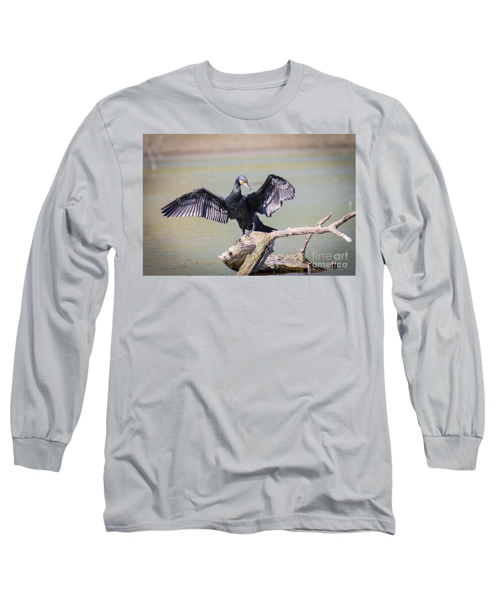 Animalia Long Sleeve T-Shirt featuring the photograph Great black cormorant drying wings after fishing #1 by Jivko Nakev