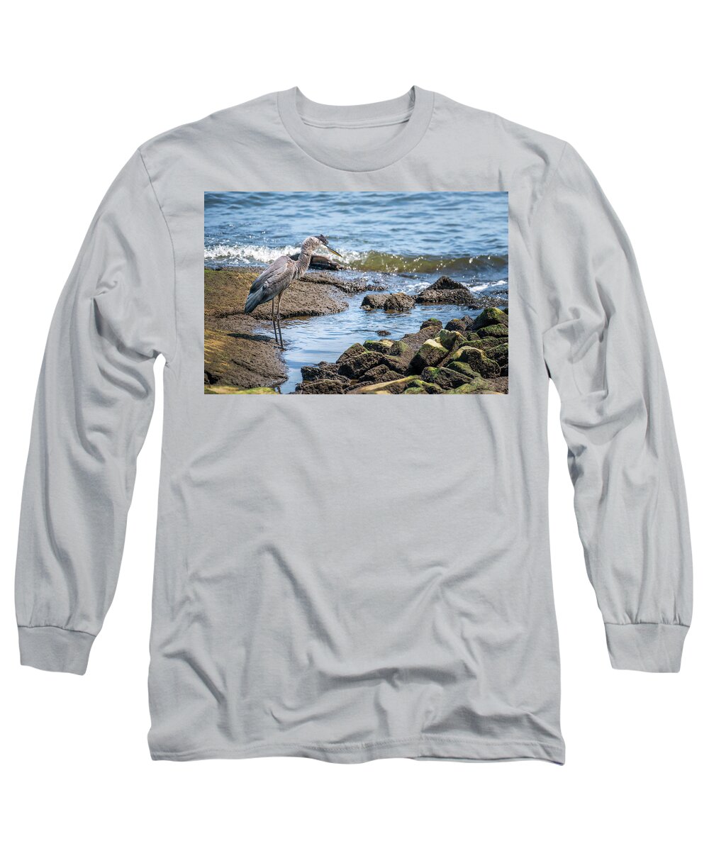 Great Blue Heron Long Sleeve T-Shirt featuring the photograph Great Blue Heron fishing on the Chesapeake Bay by Patrick Wolf