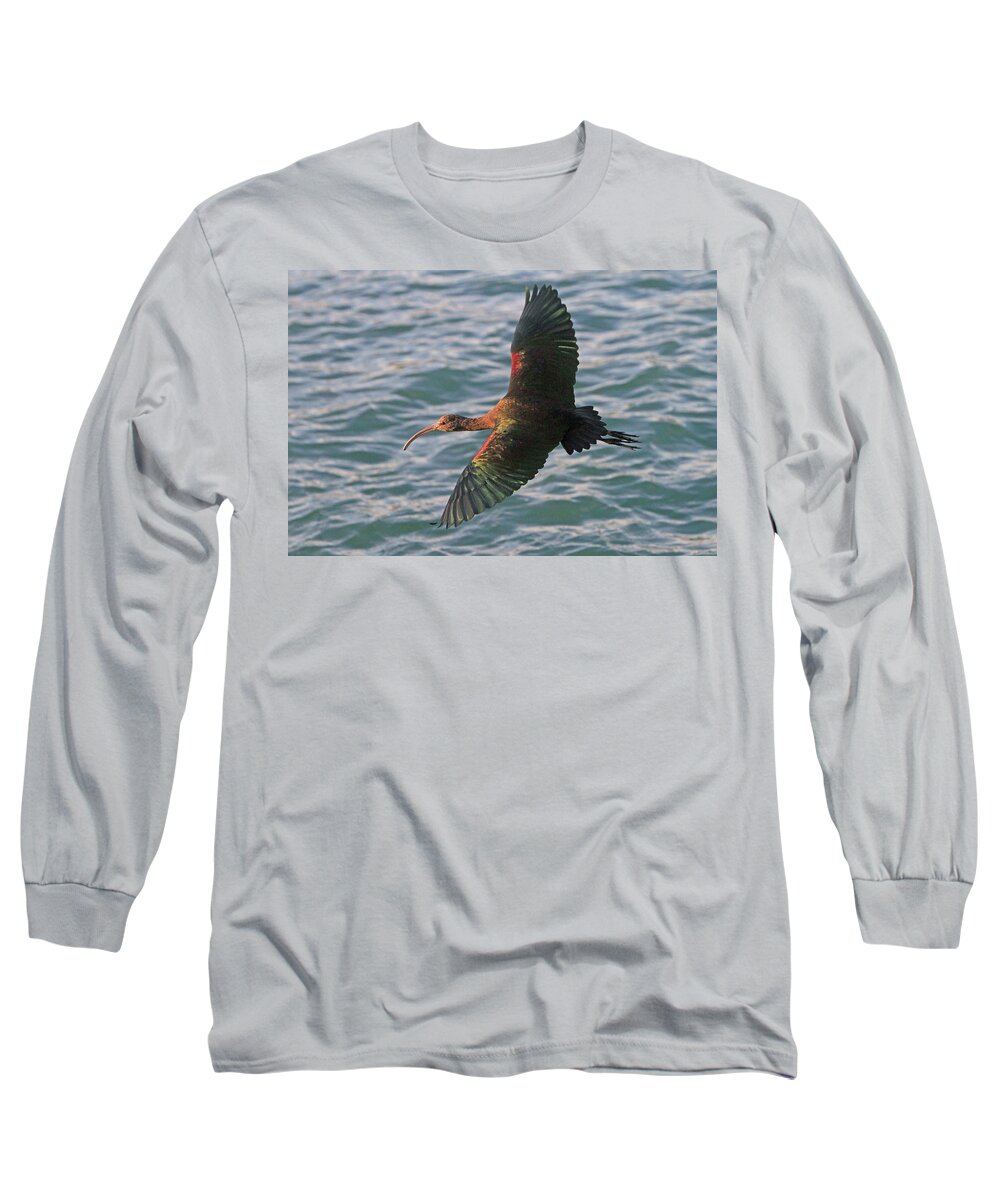 Ibis Long Sleeve T-Shirt featuring the photograph Green Ibis 6 by Shoal Hollingsworth