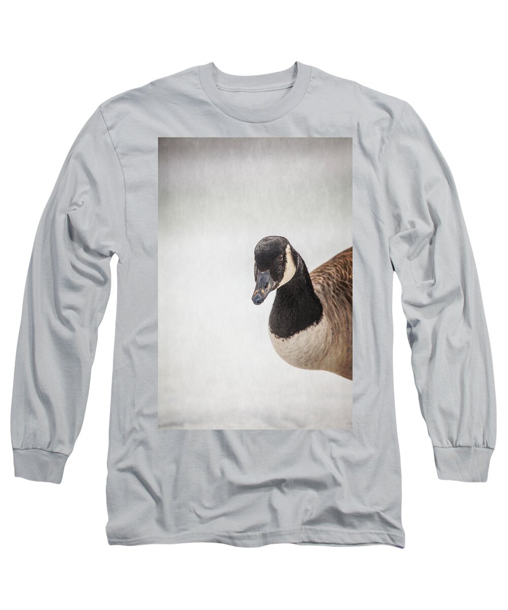 Canada Goose Point Long Sleeve T-Shirt featuring the photograph Hello There by Karol Livote
