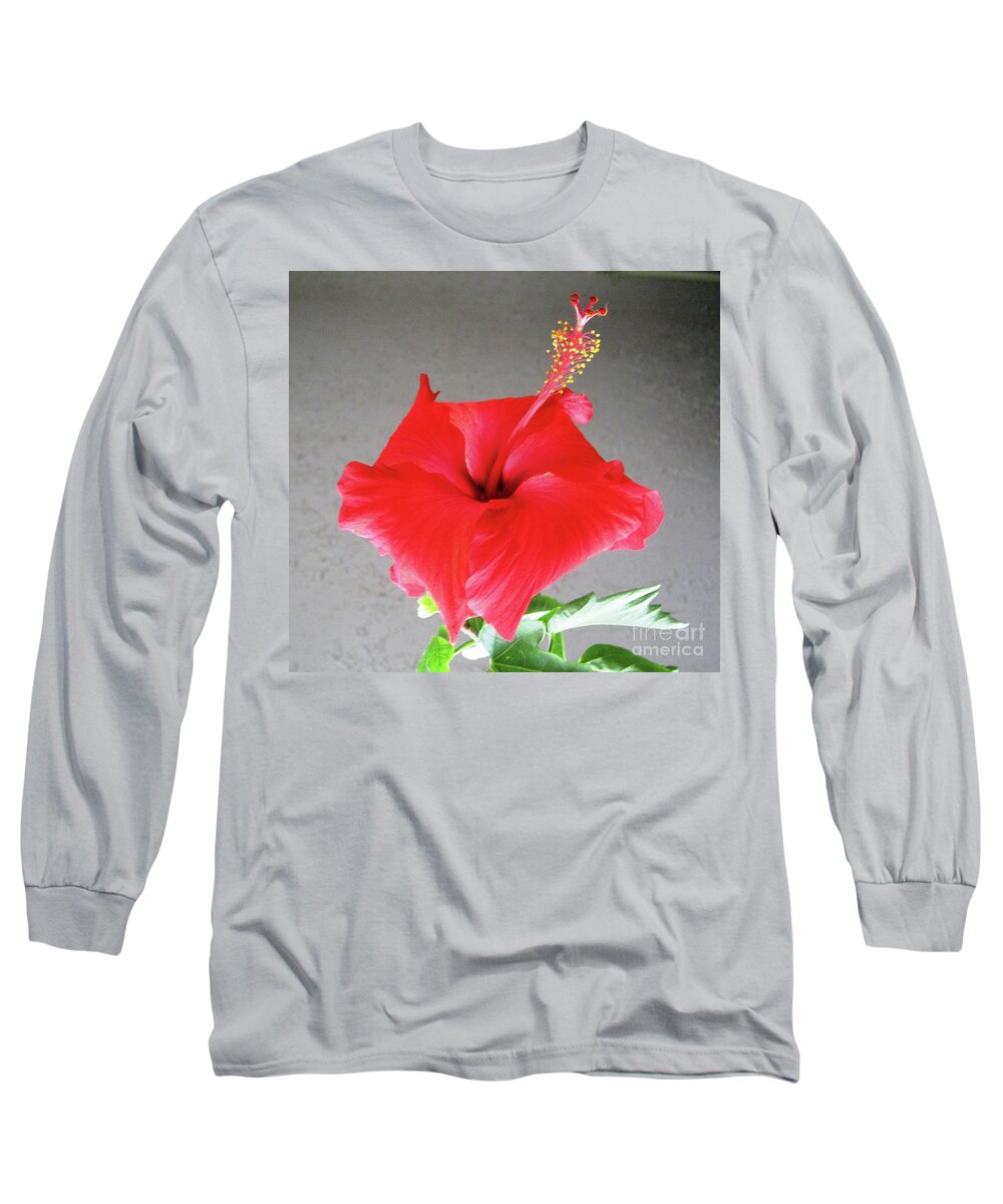 Red Long Sleeve T-Shirt featuring the photograph Hibiscus #1 by Cindy Schneider