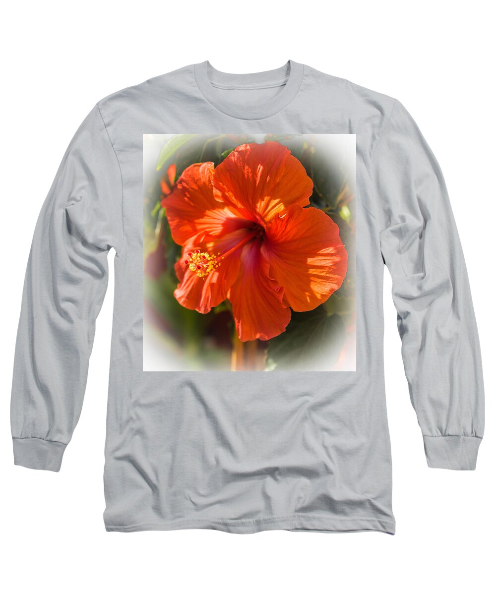 Flower Long Sleeve T-Shirt featuring the photograph Hibiscus Flower by George Kenhan