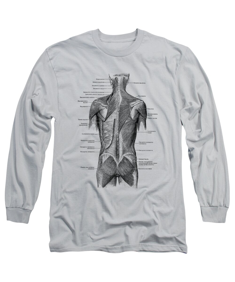 Glutes Long Sleeve T-Shirt featuring the drawing Human Muscular System - Back and Glutes by Vintage Anatomy Prints