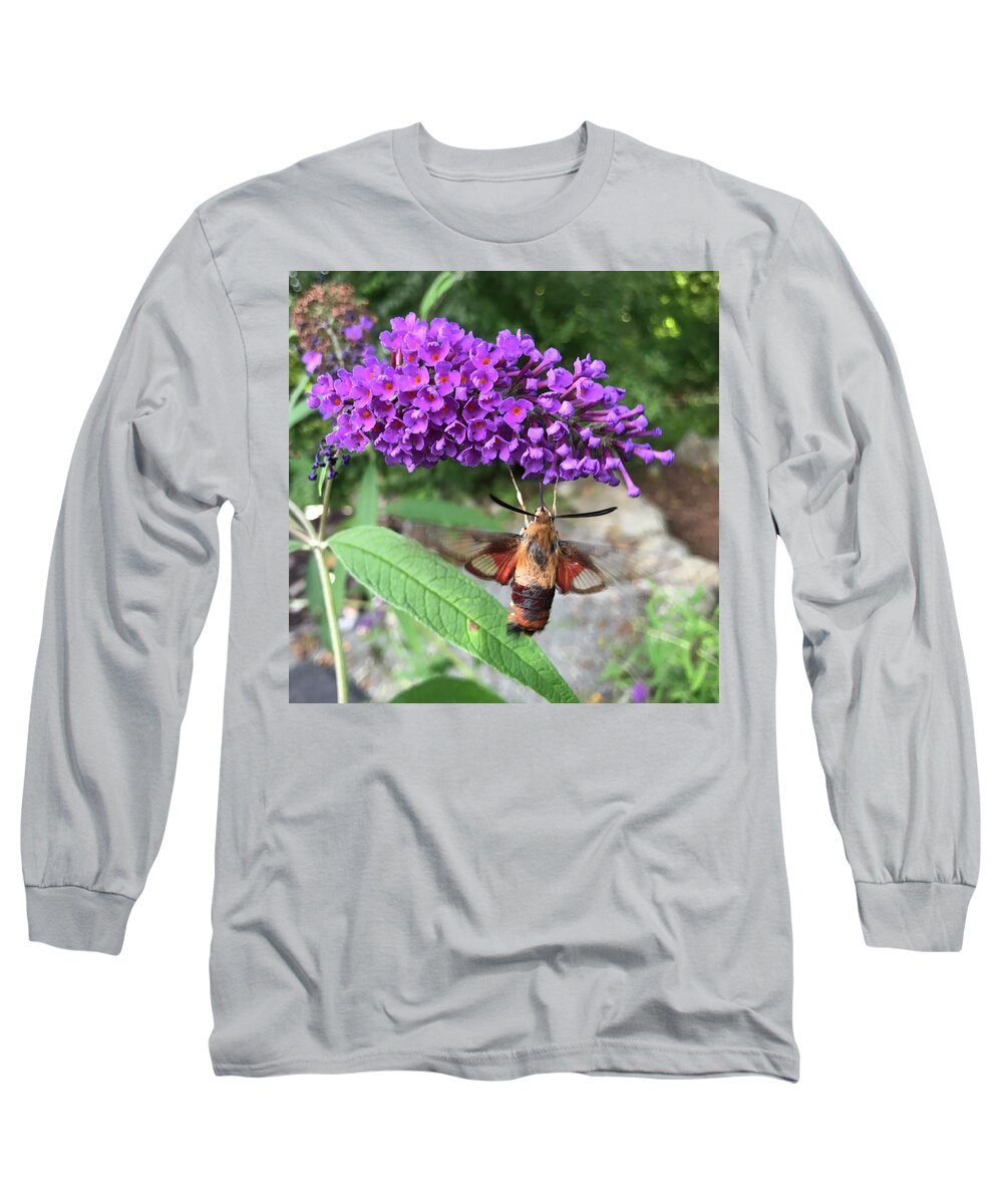 Hummingbird Long Sleeve T-Shirt featuring the photograph Hummingbird Moth by Jason Nicholas