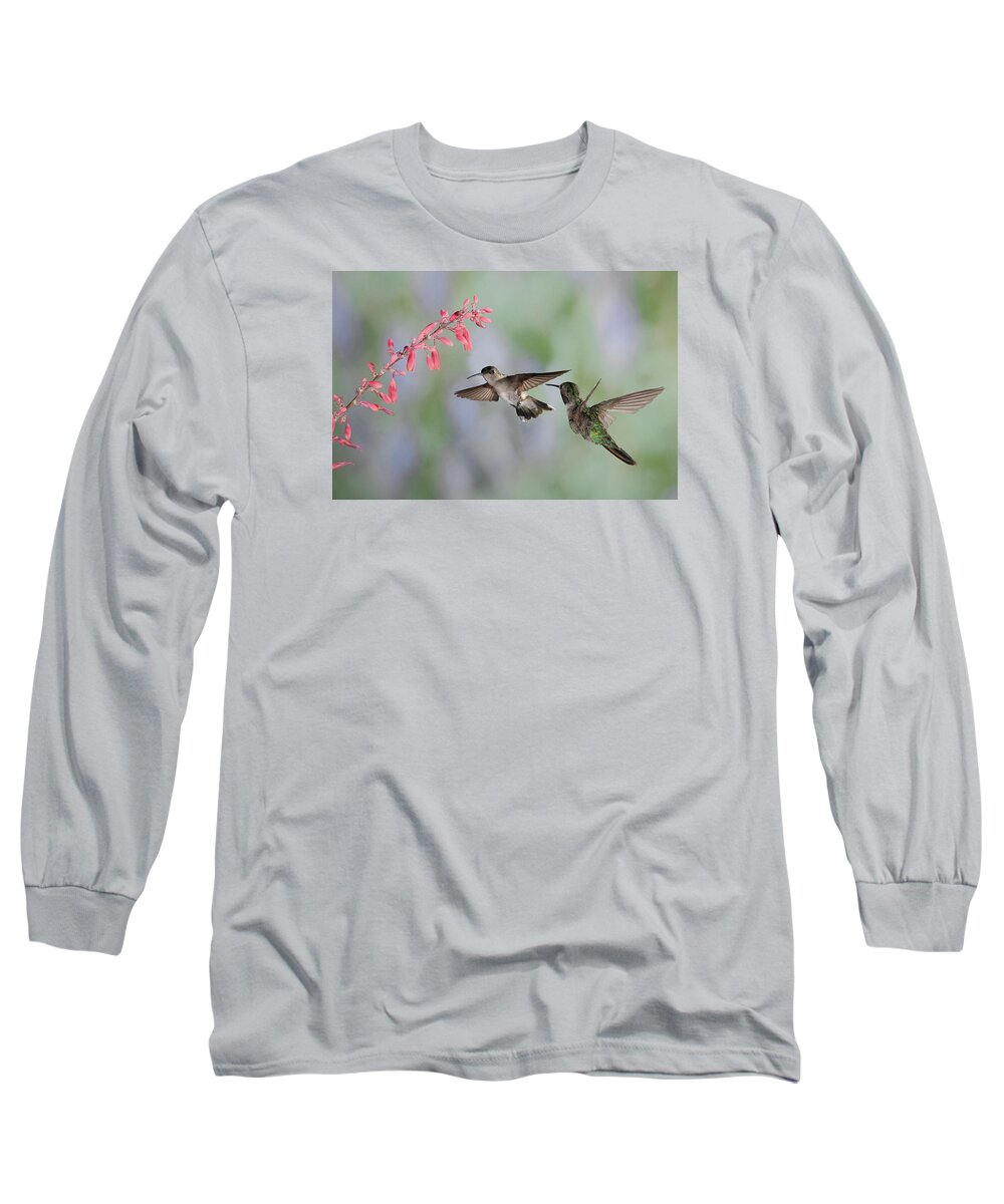Hummingbirds Long Sleeve T-Shirt featuring the photograph Hummingbirds by Alan Toepfer