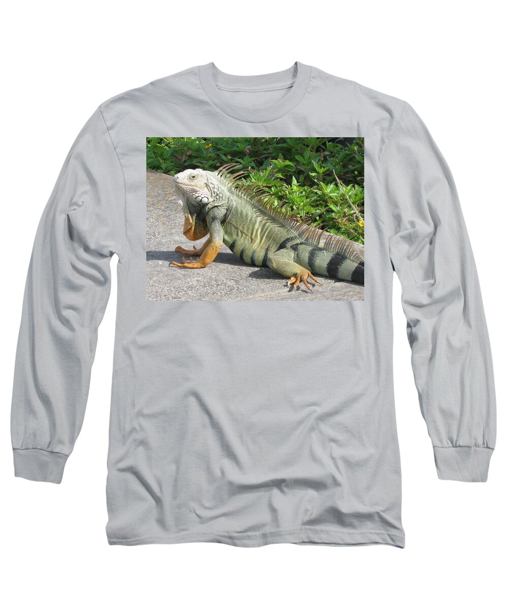 Iguania Long Sleeve T-Shirt featuring the photograph Iguania Sunbathing by Christiane Schulze Art And Photography