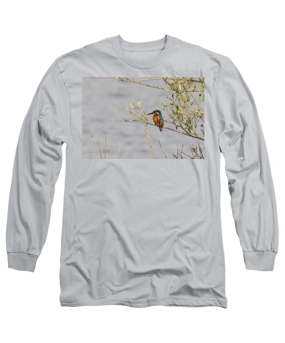 ©wendy Cooper Long Sleeve T-Shirt featuring the photograph Kingfisher Waiting by Wendy Cooper