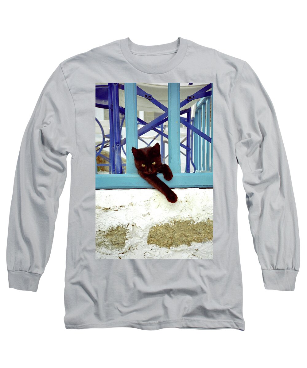 Cuddly Long Sleeve T-Shirt featuring the photograph Kitten with Blue Rail by Frank DiMarco