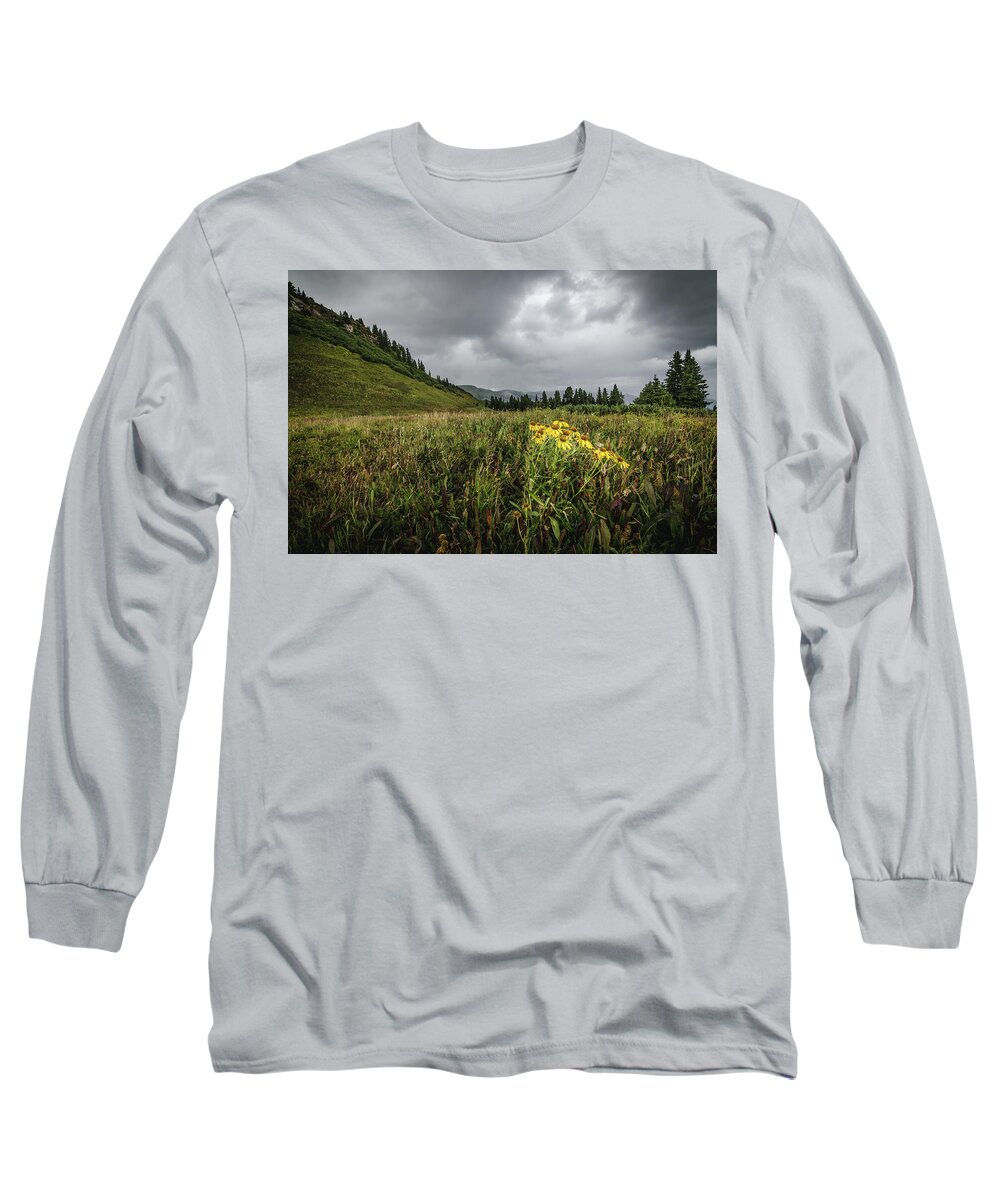 Durango Long Sleeve T-Shirt featuring the photograph La Plata Wildflowers by Margaret Pitcher