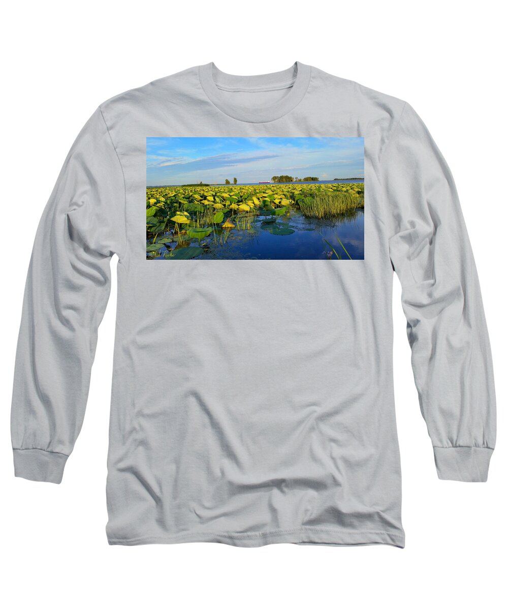 Lake Long Sleeve T-Shirt featuring the photograph Pointe Mouilee Lake Erie by Michael Rucker